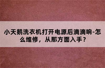 小天鹅洗衣机打开电源后滴滴响-怎么维修，从那方面入手？