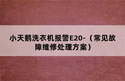 小天鹅洗衣机报警E20-（常见故障维修处理方案）