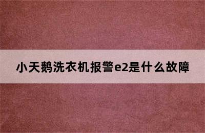 小天鹅洗衣机报警e2是什么故障