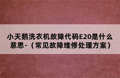 小天鹅洗衣机故障代码E20是什么意思-（常见故障维修处理方案）