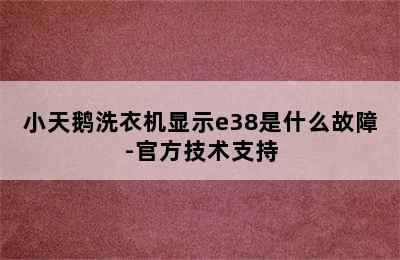 小天鹅洗衣机显示e38是什么故障-官方技术支持