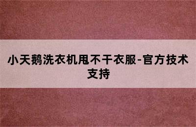 小天鹅洗衣机甩不干衣服-官方技术支持