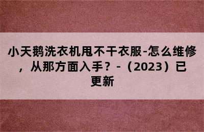 小天鹅洗衣机甩不干衣服-怎么维修，从那方面入手？-（2023）已更新