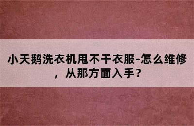 小天鹅洗衣机甩不干衣服-怎么维修，从那方面入手？