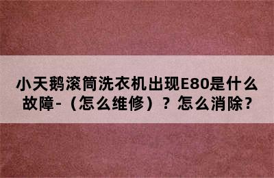 小天鹅滚筒洗衣机出现E80是什么故障-（怎么维修）？怎么消除？