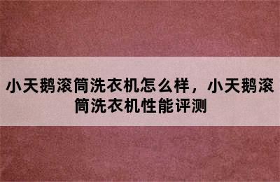 小天鹅滚筒洗衣机怎么样，小天鹅滚筒洗衣机性能评测