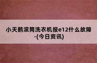 小天鹅滚筒洗衣机报e12什么故障-(今日资讯)