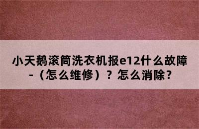 小天鹅滚筒洗衣机报e12什么故障-（怎么维修）？怎么消除？