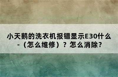 小天鹅的洗衣机报错显示E30什么-（怎么维修）？怎么消除？