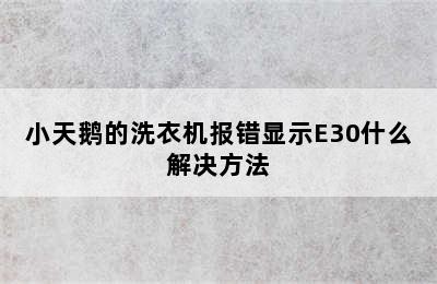 小天鹅的洗衣机报错显示E30什么解决方法