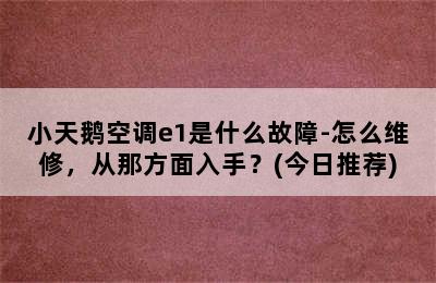 小天鹅空调e1是什么故障-怎么维修，从那方面入手？(今日推荐)