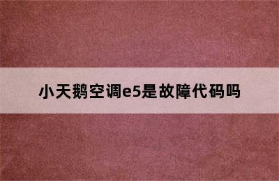 小天鹅空调e5是故障代码吗