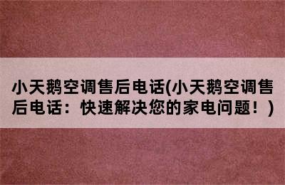 小天鹅空调售后电话(小天鹅空调售后电话：快速解决您的家电问题！)