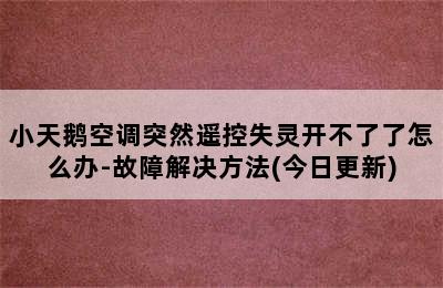 小天鹅空调突然遥控失灵开不了了怎么办-故障解决方法(今日更新)