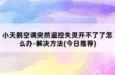 小天鹅空调突然遥控失灵开不了了怎么办-解决方法(今日推荐)