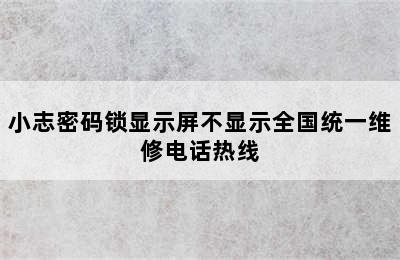 小志密码锁显示屏不显示全国统一维修电话热线