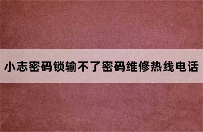 小志密码锁输不了密码维修热线电话