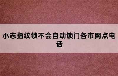 小志指纹锁不会自动锁门各市网点电话