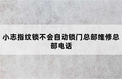 小志指纹锁不会自动锁门总部维修总部电话