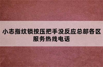 小志指纹锁按压把手没反应总部各区服务热线电话