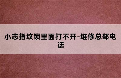 小志指纹锁里面打不开-维修总部电话