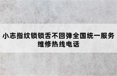 小志指纹锁锁舌不回弹全国统一服务维修热线电话