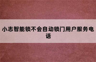 小志智能锁不会自动锁门用户服务电话