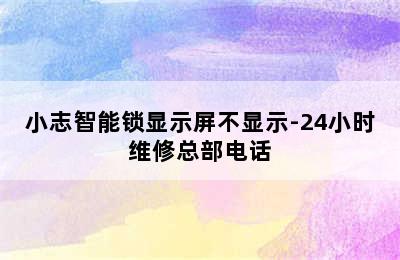 小志智能锁显示屏不显示-24小时维修总部电话