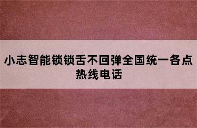 小志智能锁锁舌不回弹全国统一各点热线电话