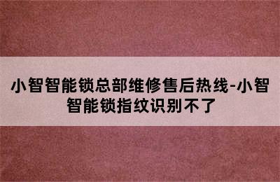 小智智能锁总部维修售后热线-小智智能锁指纹识别不了