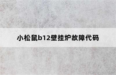 小松鼠b12壁挂炉故障代码