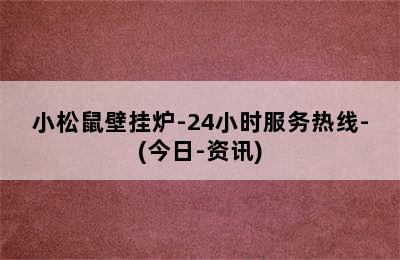 小松鼠壁挂炉-24小时服务热线-(今日-资讯)