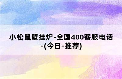 小松鼠壁挂炉-全国400客服电话-(今日-推荐)