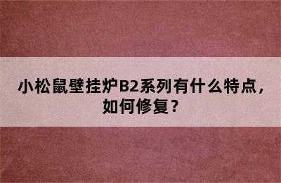 小松鼠壁挂炉B2系列有什么特点，如何修复？