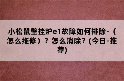 小松鼠壁挂炉e1故障如何排除-（怎么维修）？怎么消除？(今日-推荐)