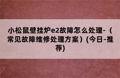 小松鼠壁挂炉e2故障怎么处理-（常见故障维修处理方案）(今日-推荐)