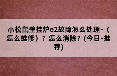 小松鼠壁挂炉e2故障怎么处理-（怎么维修）？怎么消除？(今日-推荐)