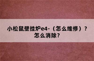 小松鼠壁挂炉e4-（怎么维修）？怎么消除？