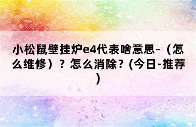 小松鼠壁挂炉e4代表啥意思-（怎么维修）？怎么消除？(今日-推荐)