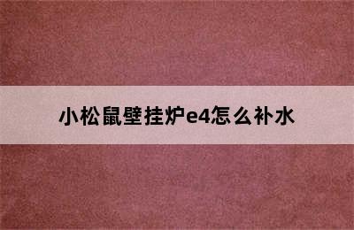 小松鼠壁挂炉e4怎么补水