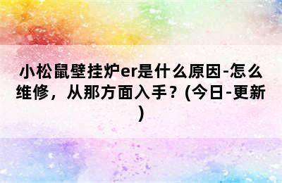 小松鼠壁挂炉er是什么原因-怎么维修，从那方面入手？(今日-更新)