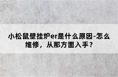 小松鼠壁挂炉er是什么原因-怎么维修，从那方面入手？