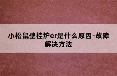 小松鼠壁挂炉er是什么原因-故障解决方法