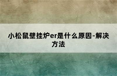 小松鼠壁挂炉er是什么原因-解决方法