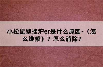 小松鼠壁挂炉er是什么原因-（怎么维修）？怎么消除？