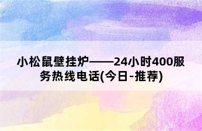 小松鼠壁挂炉——24小时400服务热线电话(今日-推荐)