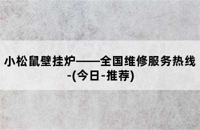 小松鼠壁挂炉——全国维修服务热线-(今日-推荐)