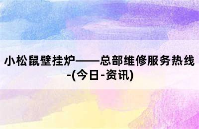 小松鼠壁挂炉——总部维修服务热线-(今日-资讯)