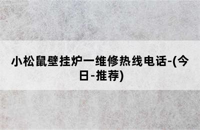 小松鼠壁挂炉一维修热线电话-(今日-推荐)