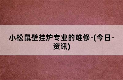 小松鼠壁挂炉专业的维修-(今日-资讯)